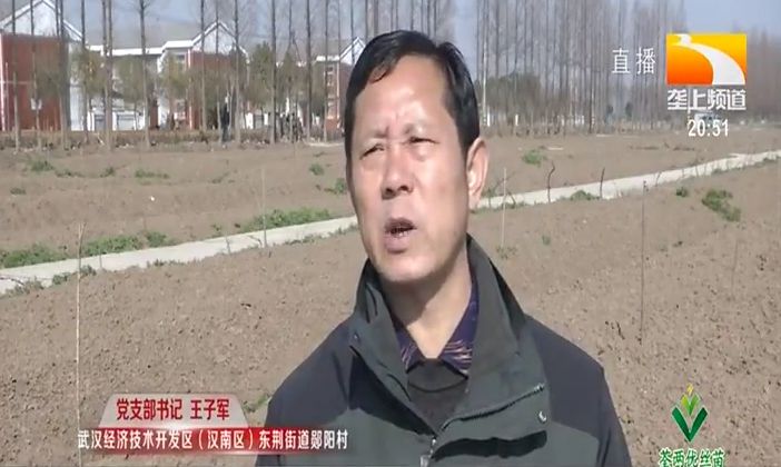 正文武汉经济技术开发区(汉南区)东荆街道郧阳村党支部书记王子军