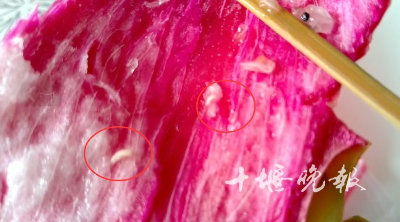 成片的红色鸡皮疙瘩是什么(全是起鸡皮疙瘩有几处红红的)