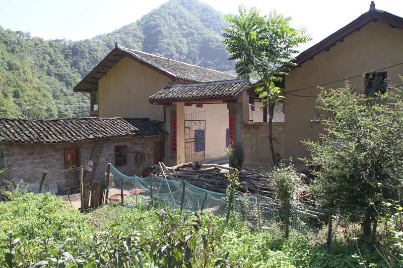 竹溪这15个村荣获"湖北省绿色乡村"称号_竹溪_十堰县市区_十堰秦楚网