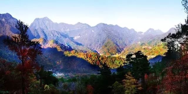 中国最大的森林公园图片