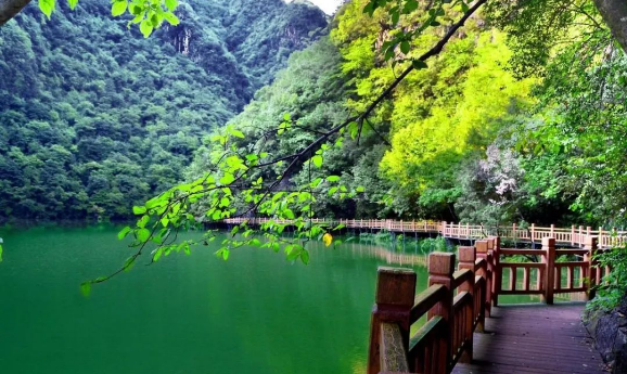 去感受鄂西北地区最大的县级湿地景观基地 看绿色长廊 如果你来房县