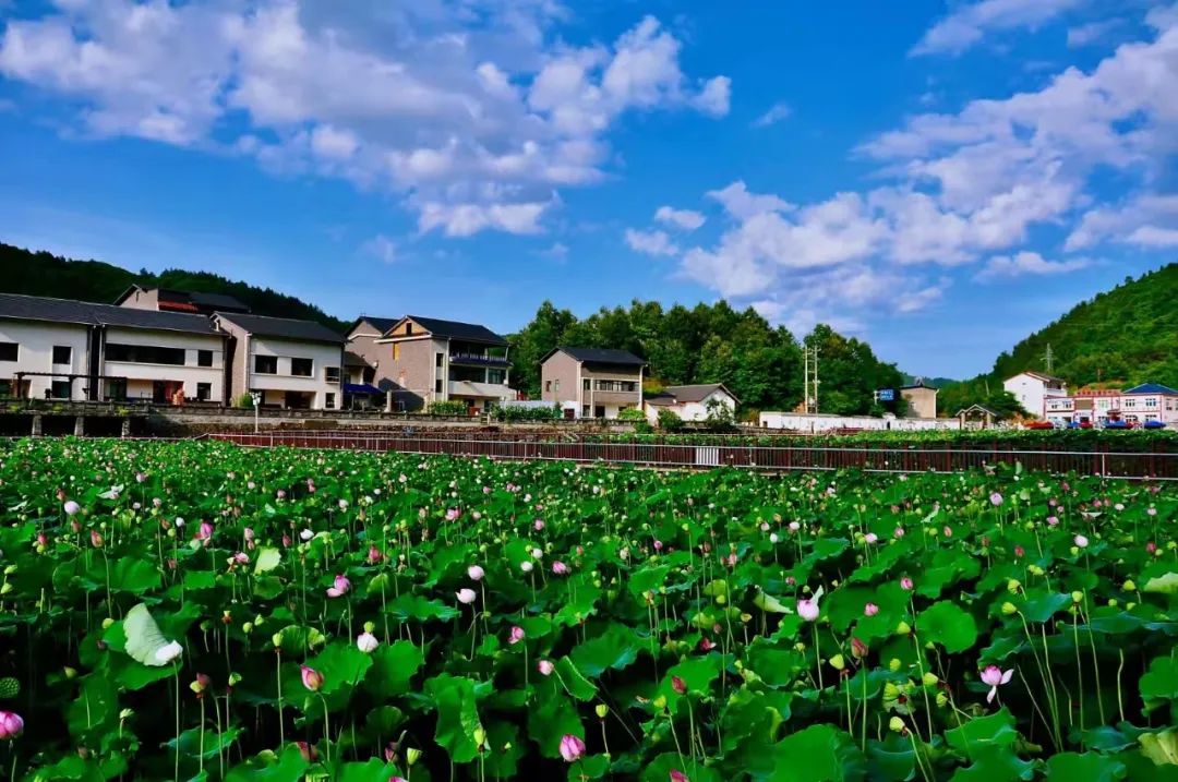 【喜迎党代会】黄龙镇:谋划10大项目,总投资100亿元……_张湾区_十堰