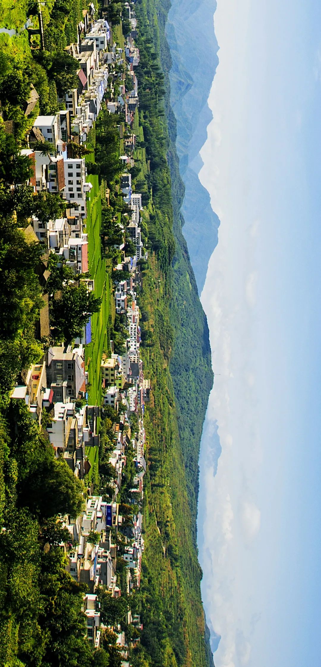 房县_十堰县市区_十堰秦楚网 十堰新闻门户网站 十堰主流新闻媒体