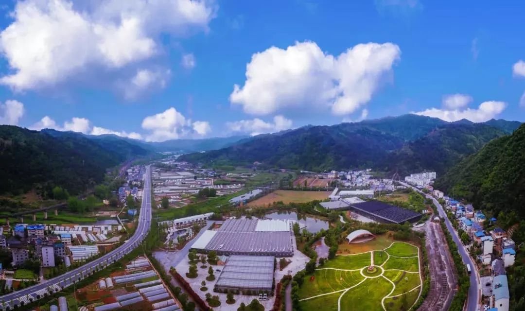 人人都在向往张湾这里.