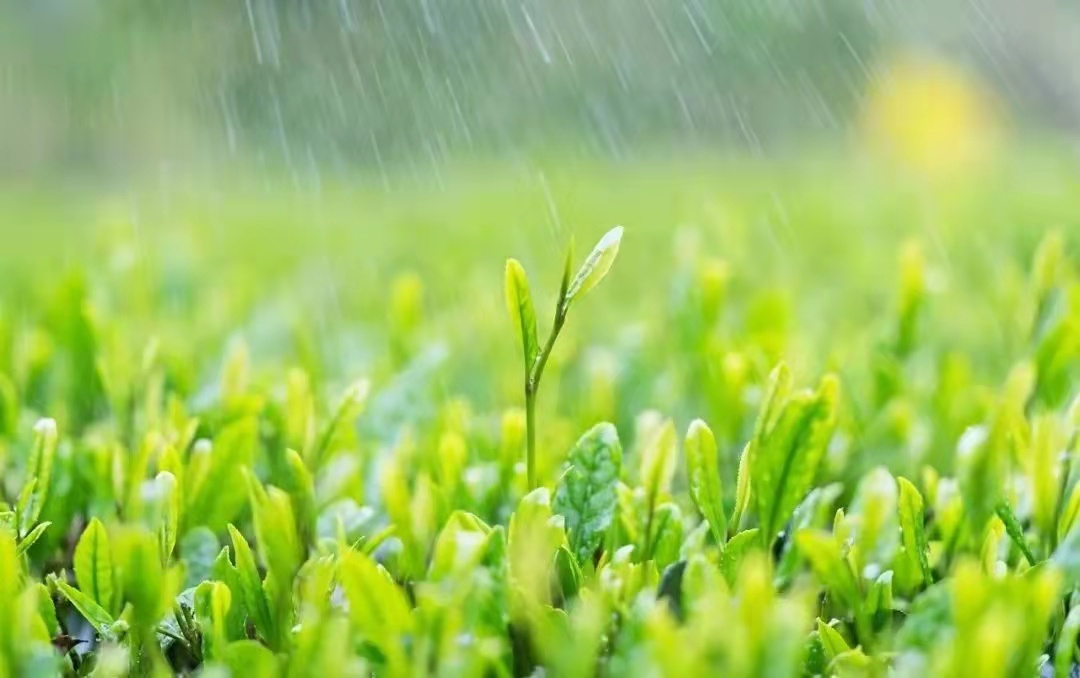 今日已经是雨水节气了离天气变暖还远吗未来一周