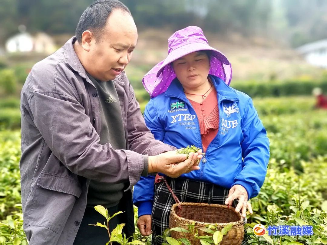 竹溪首富前十位图片图片