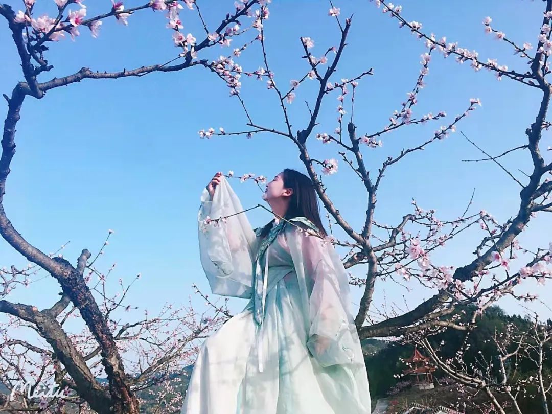 郧西这片世外桃源藏不住了……_云上十堰